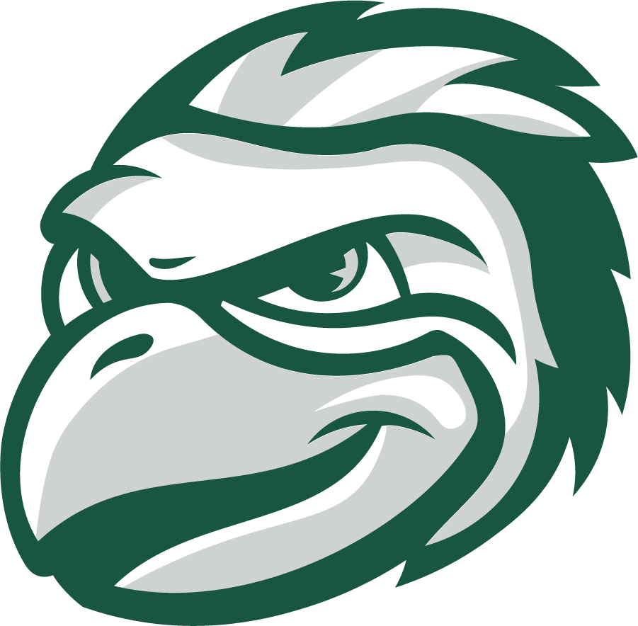 Wisconsin-Green Bay Phoenix 2020-Pres Mascot Logo v2 diy iron on heat transfer